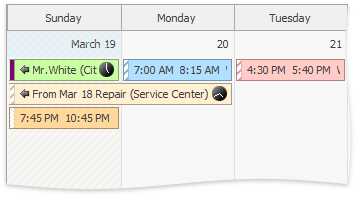 ShowAppointmentStatusVertically-MonthView-True