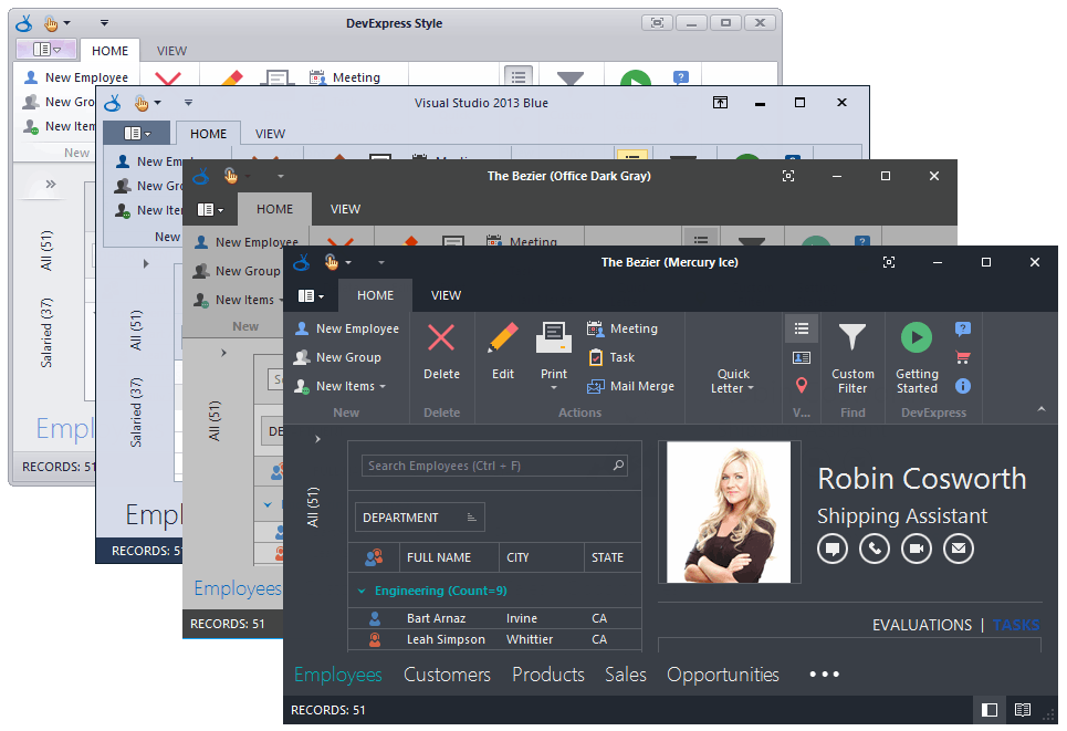 WinForms Skin Editor, WinForms Skin Editor