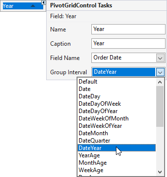 Year data field