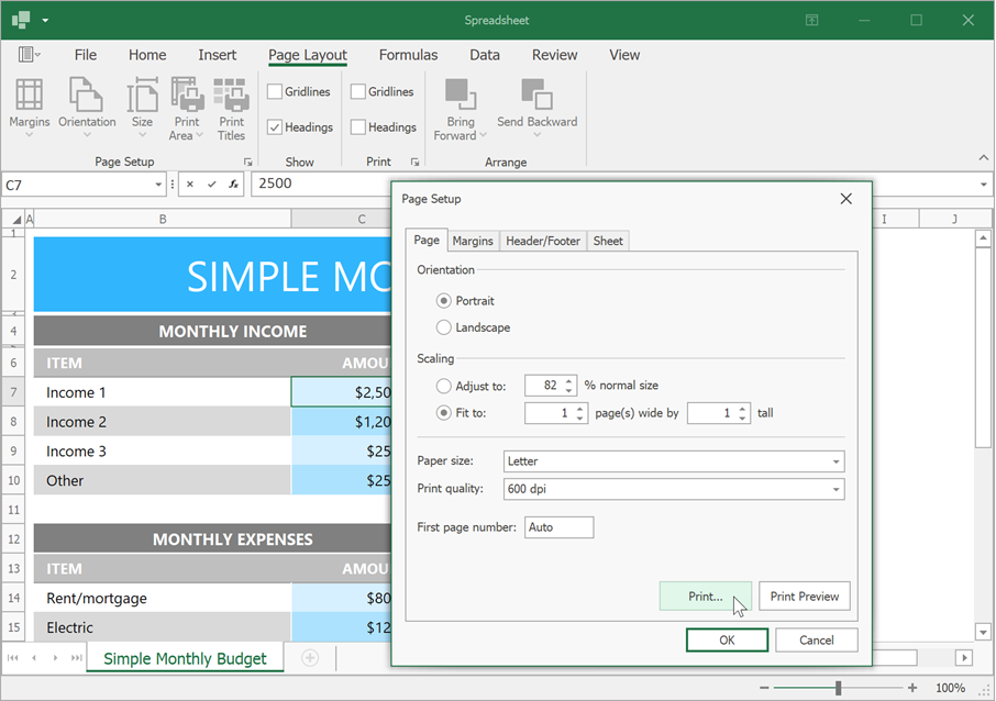 Spreadsheet Page Setup