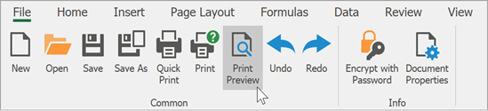 Invoke the Print Preview Dialog