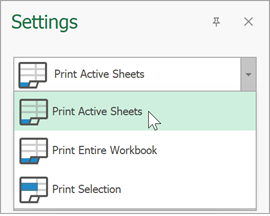 Specify Spreadsheet Content to Print
