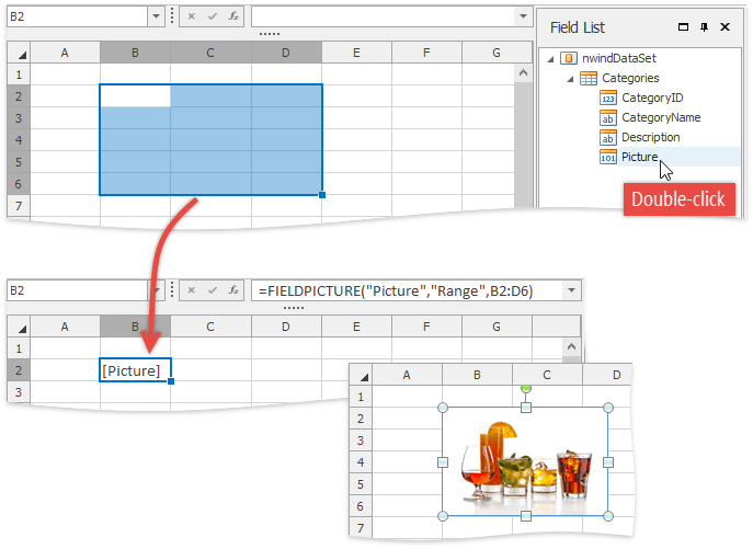 SpreadsheetControl_InsertPictureField