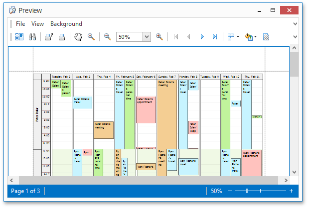Scheduler Report Preview
