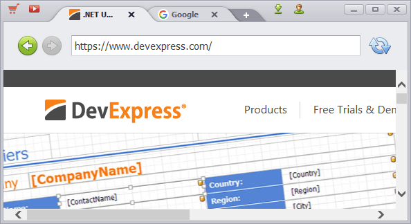 devexpress reporting