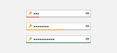 Password Strength - WinForms UI Templates | DevExpress