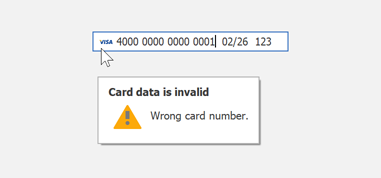 Payment Card Number Validation - WinForms UI Templates | DevExpress