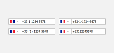 Phone Number Formats - WinForms UI Templates | DevExpress