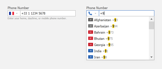 Phone Number Editor - WinForms UI Templates | DevExpress
