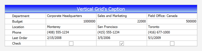 CustomDrawCaption - WinForms Vertical Grid