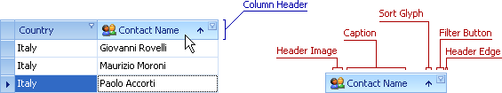 VisualElems_GridView_ColumnHeader