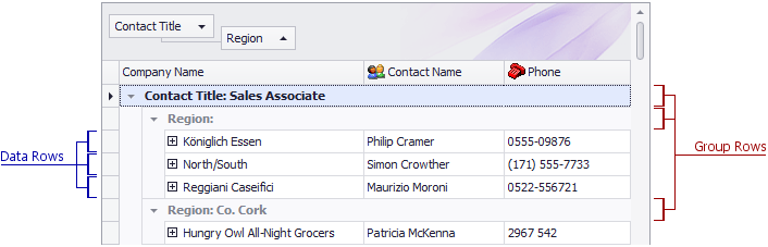Group Row WinForms Controls DevExpress Documentation