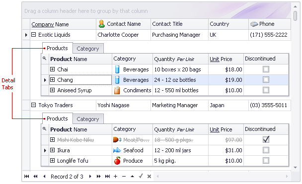 net property grid custom type info