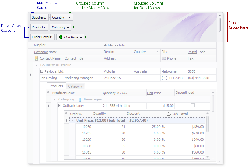 VisualElems_MasterDetail_JoinedGroupPanel