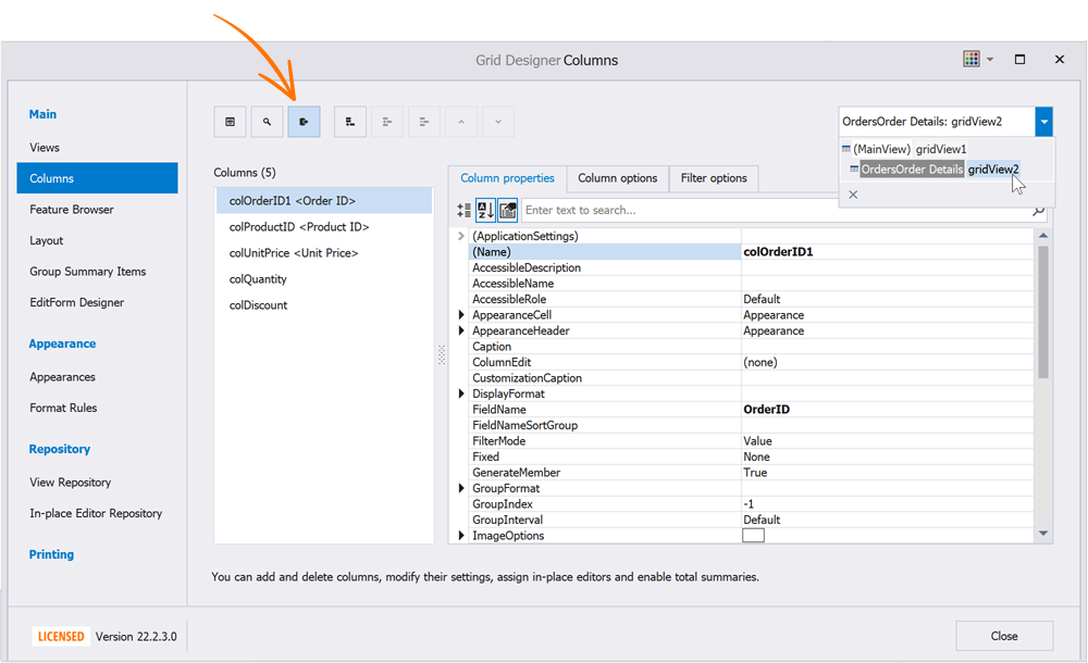 Customize Columns in Detail Views - WinForms Data Grid