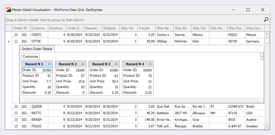 CardView as Detail View - WinForms Data Grid