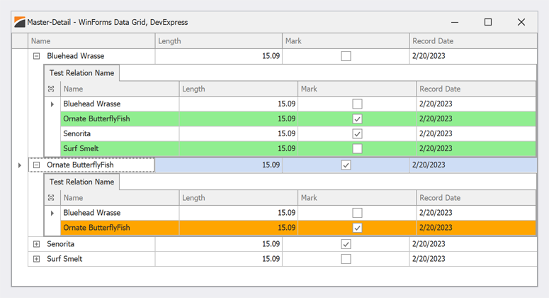 Access Clone Views - WinForms Data Grid