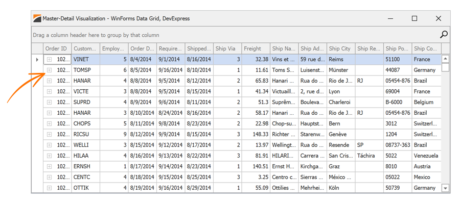 Display Data from Master Table - WinForms Data Grid