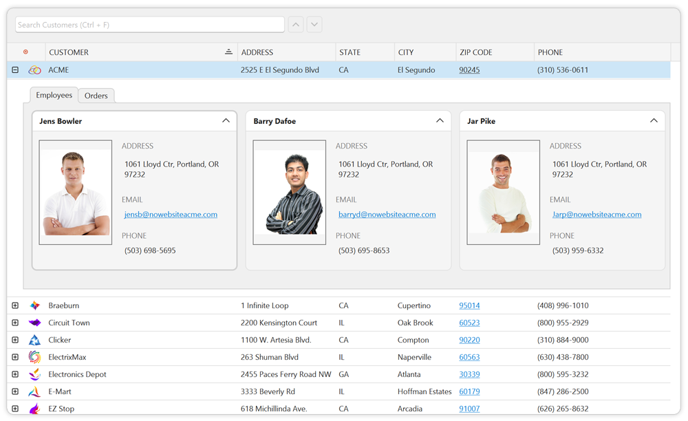 Master-Detail Visualization - WinForms Data Grid