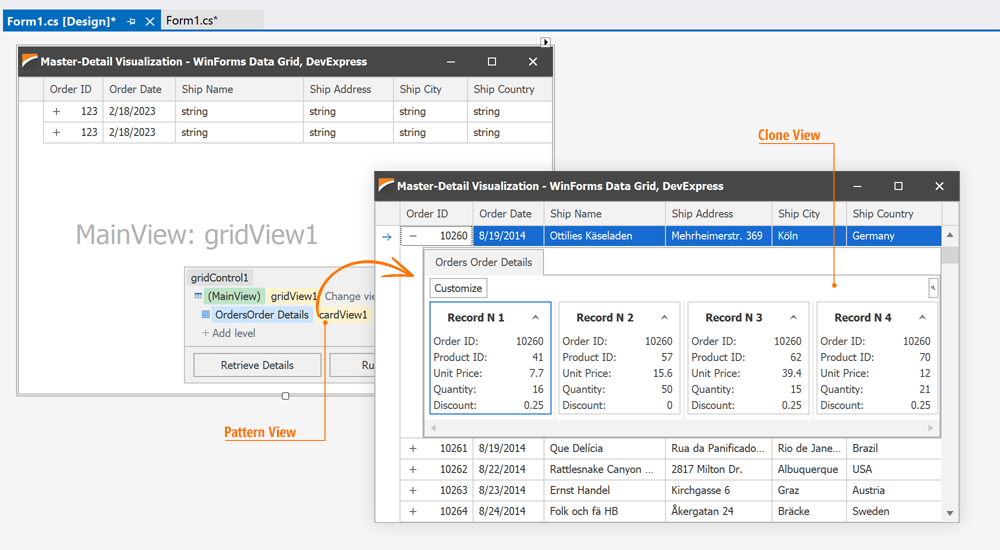 Pattern and Clone Views - WinForms Data Grid