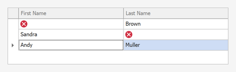 Indicate Invalid Values with IDXDataErrorInfo - WinForms Data Grid Validation