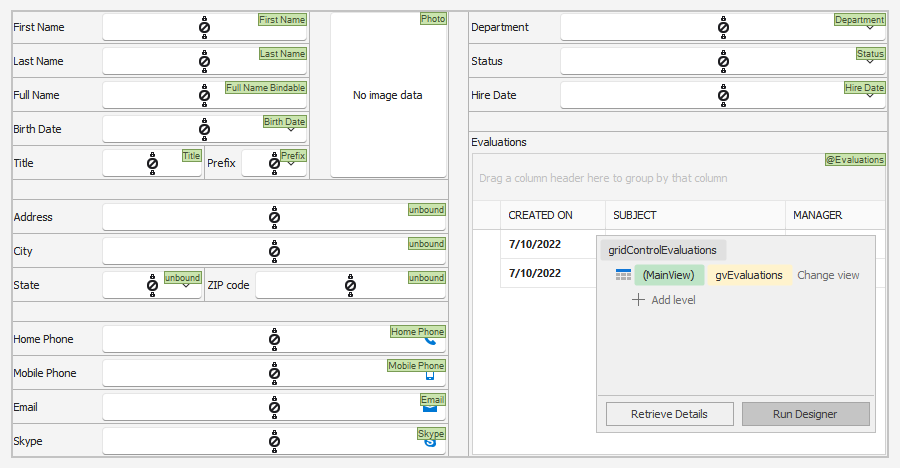 WinForms Data Layout Control, DevExpress