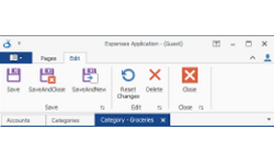 WinForms - Forms and UC - RibbonForm