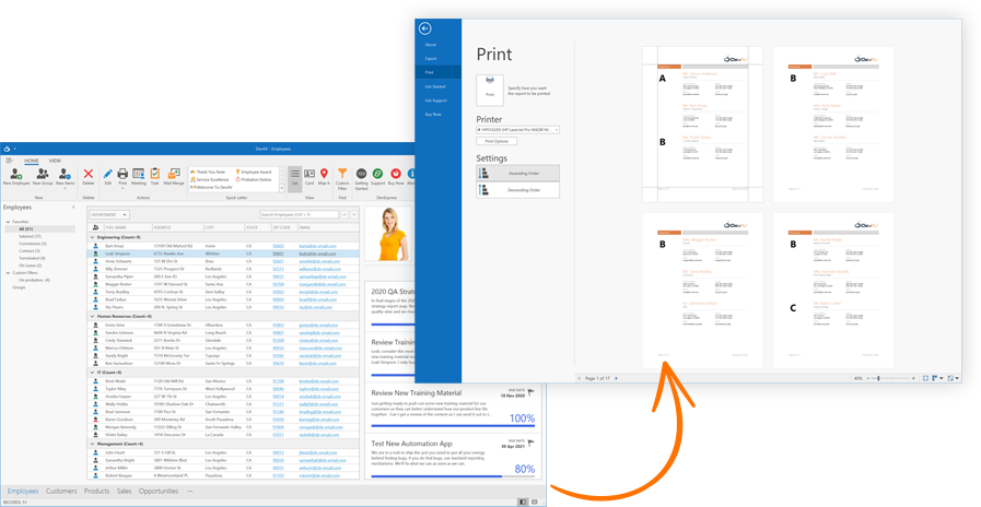 Print and Export - WinForms UI Controls, DevExpress