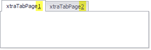 XtraTabControl_UseMnemonic