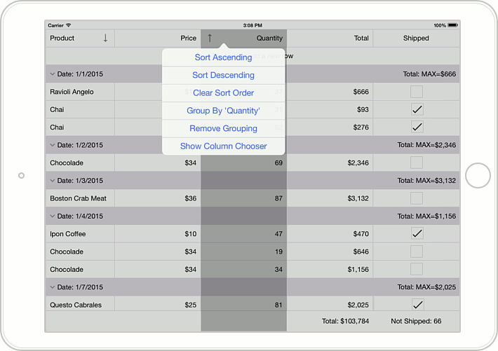 Grid_GettingStarted_Lesson6_Result_iOS