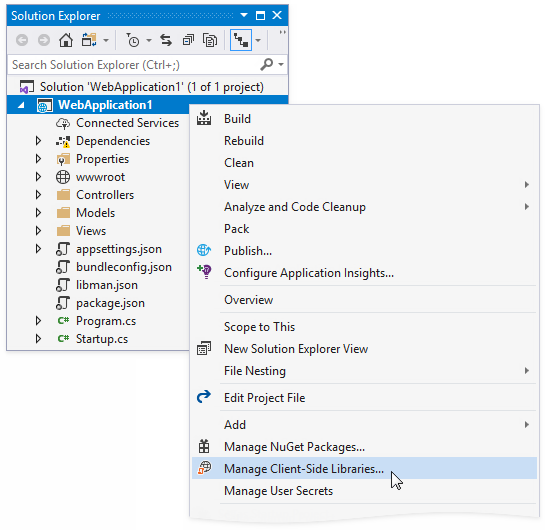 Manage Client-Side Libraries