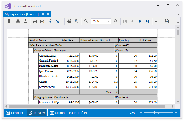 Report Preview