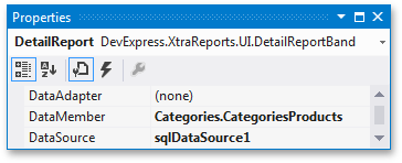 detail-report-band-data-source-properties