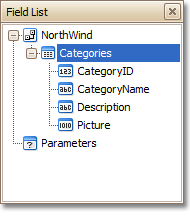 FieldListDockPanel