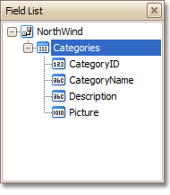 FieldListDockPanel_ShowParametersNode