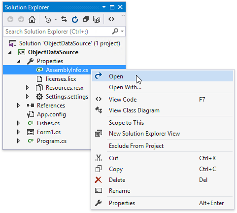 object-data-source-assemblyinfo