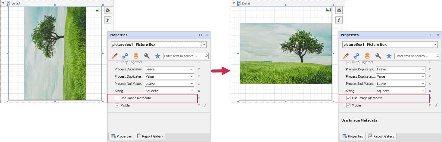 XRPictureBox image orientation