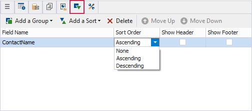 Report Designer for Rider Group and Sort Panel