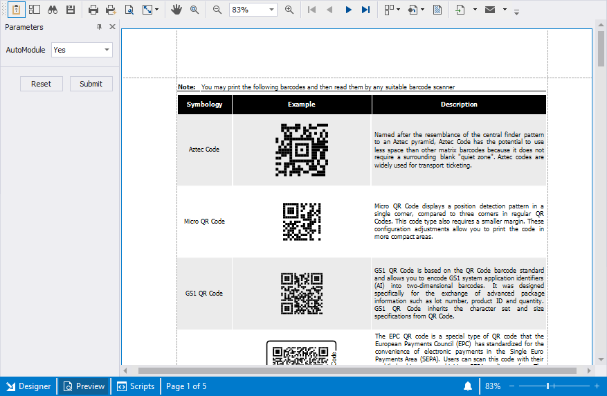 Report Designer for Rider Preview Tab