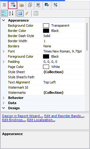 Report Designer for Rider Properties Window