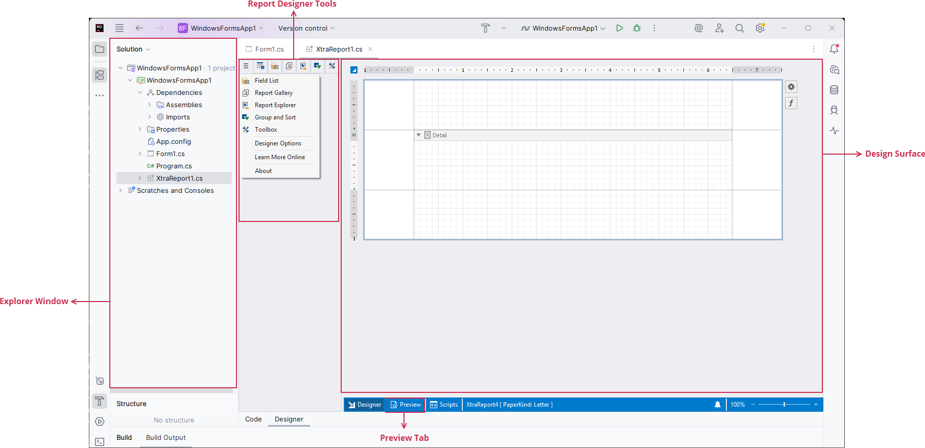 Report Designer for Rider Surface Elements