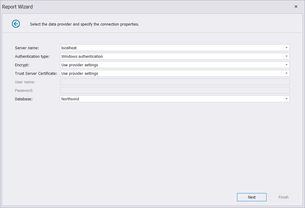 report-wizard-database-connection-string-sql