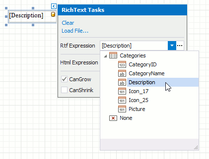 rich-text-rtf-expression