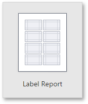web-designer-report-type-label