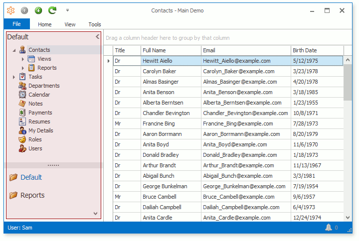 XAF Windows Forms Navigation, DevExpress