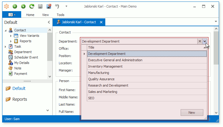 XAF Windows Forms Lookup List View, DevExpress