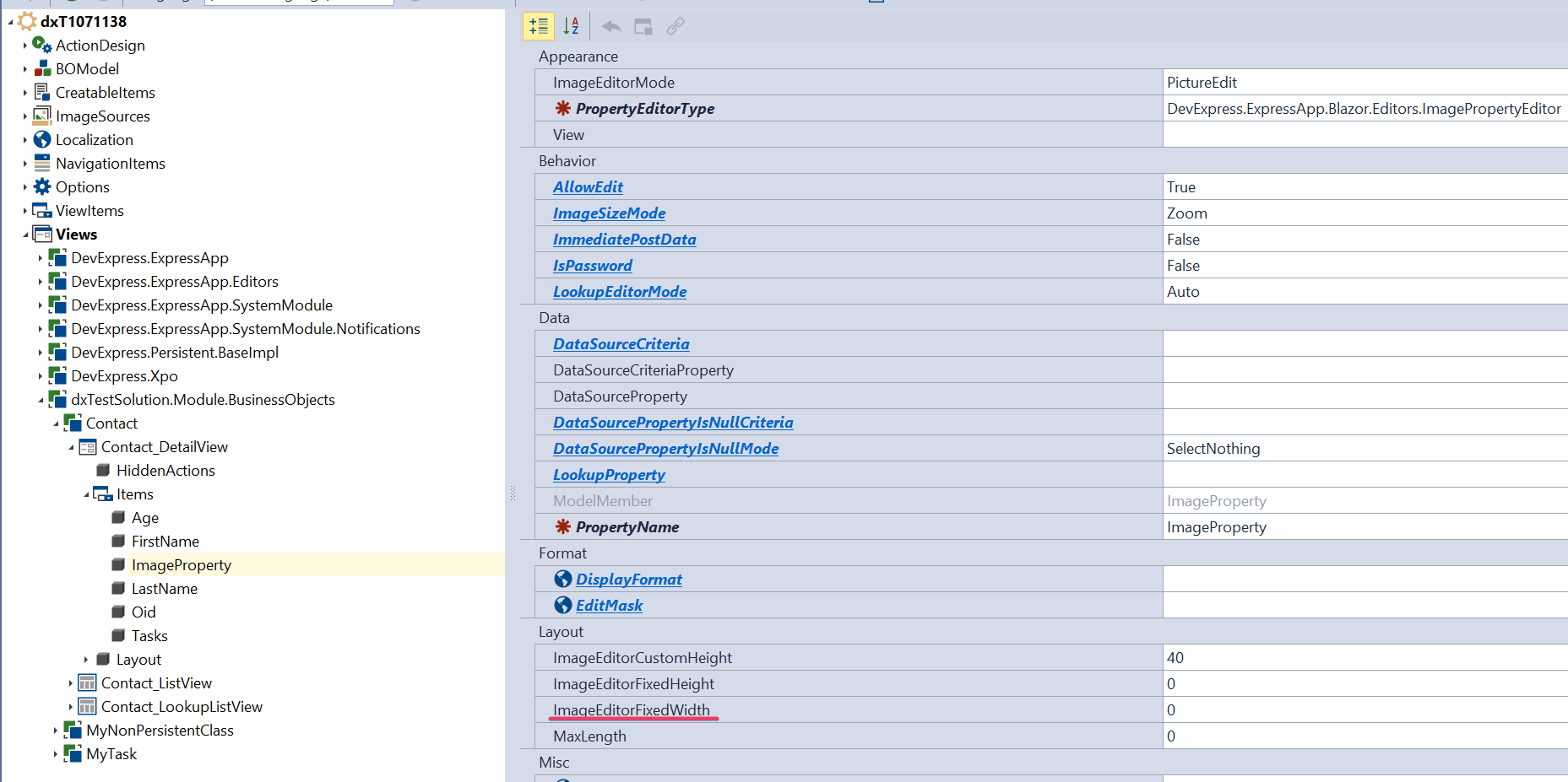 ImageEditorFixedWidth property in Model Editor
