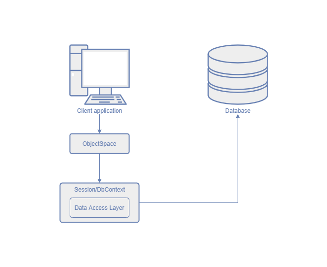 Application that accesses a database directly