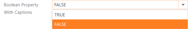 XAF Boolean Property With Captions ASP.NET Core Blazor, DevExpress
