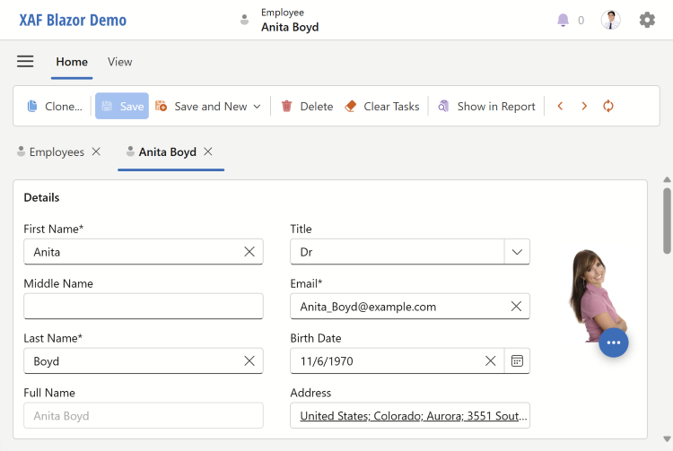 XAF ASP.NET Core Blazor -- Message Associated with a Specific Property, DevExpress